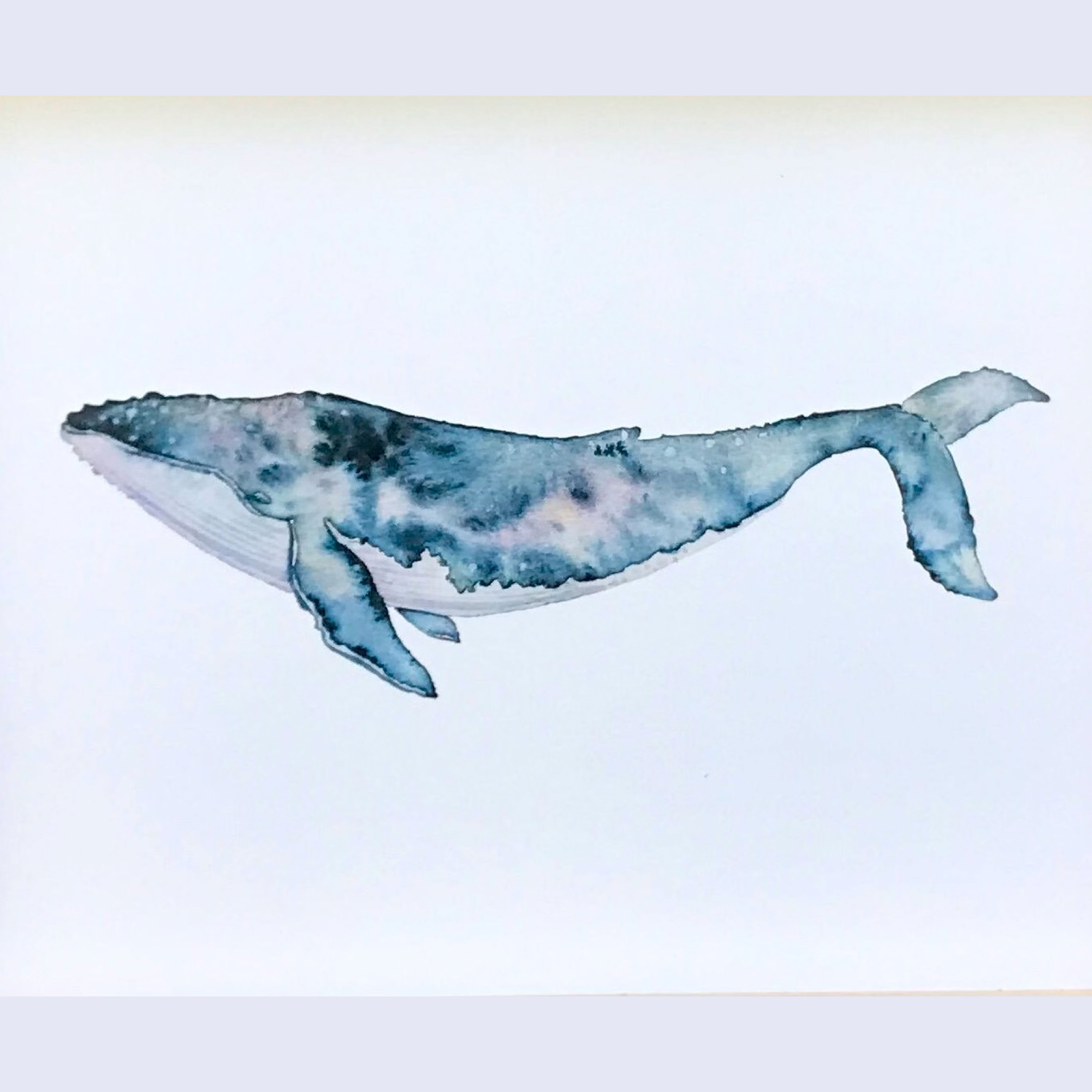 Watercolor Galaxy Whales with Skillpop