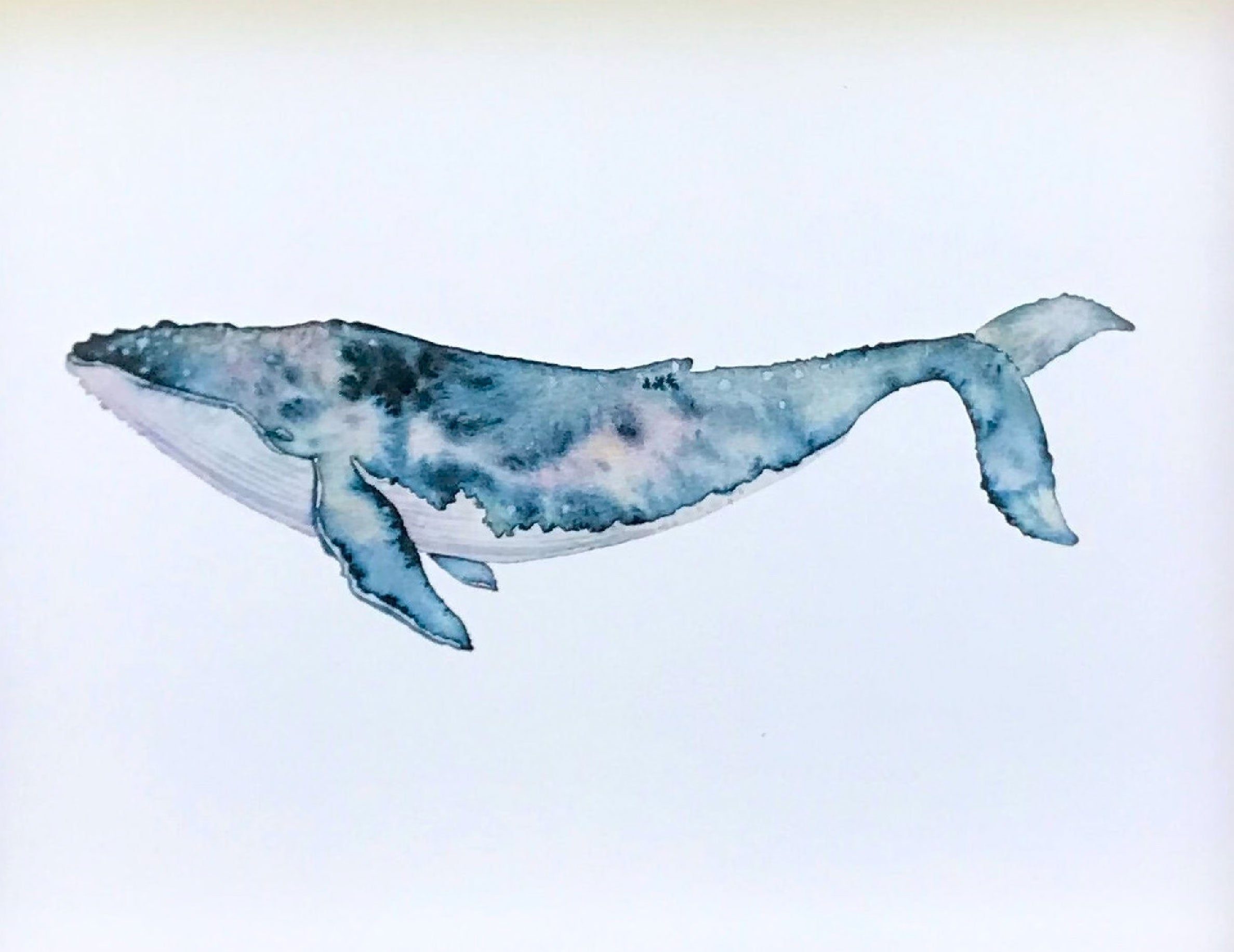 Watercolor Galaxy Whales with Skillpop