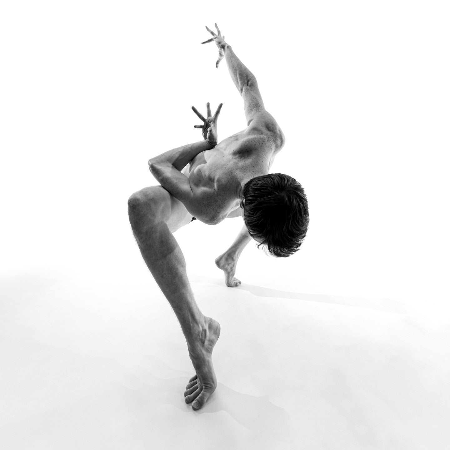 More Info for Charlotte Ballet: A Realm of Existence